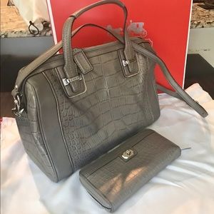 Coach Iridescent Alligator Handbag and Wallet